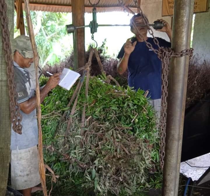 Bumdes Jeruklegi Wetan: Inovasi dan Keberlanjutan dalam Pengembangan Desa