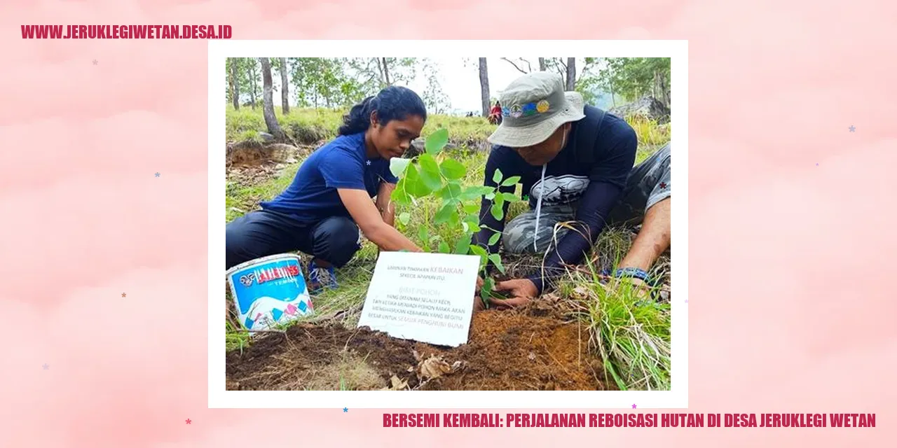 Reboisasi Hutan