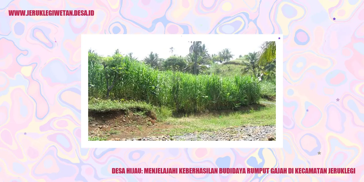 Desa Hijau: Menjelajahi Keberhasilan Budidaya Rumput Gajah di Kecamatan Jeruklegi