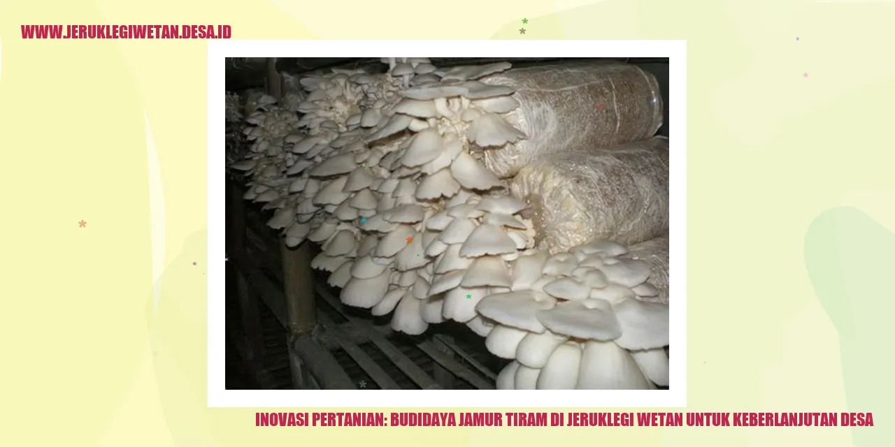 Inovasi Pertanian: Budidaya Jamur Tiram di Jeruklegi Wetan untuk Keberlanjutan Desa