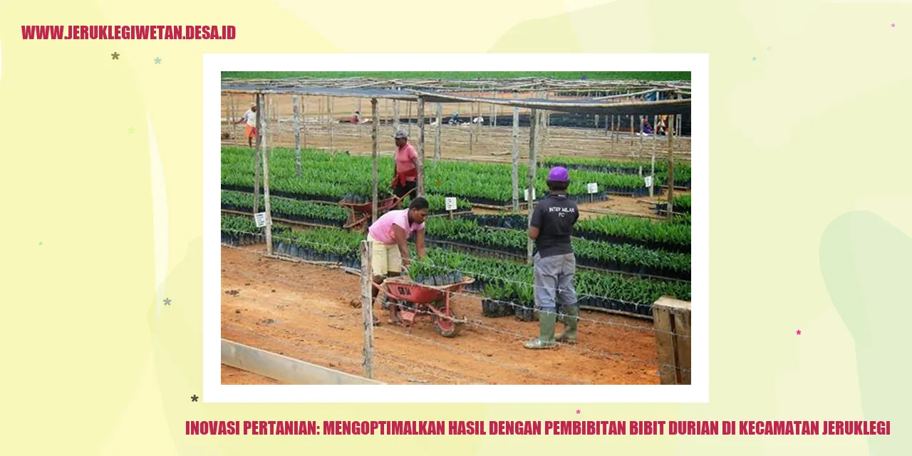 Bibit Durian di Kecamatan Jeruklegi
