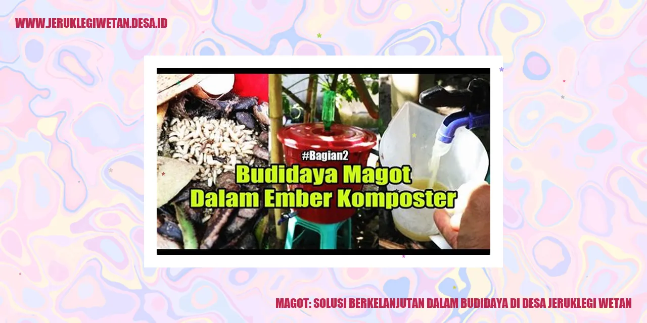 Magot: Solusi Berkelanjutan dalam Budidaya di Desa Jeruklegi Wetan