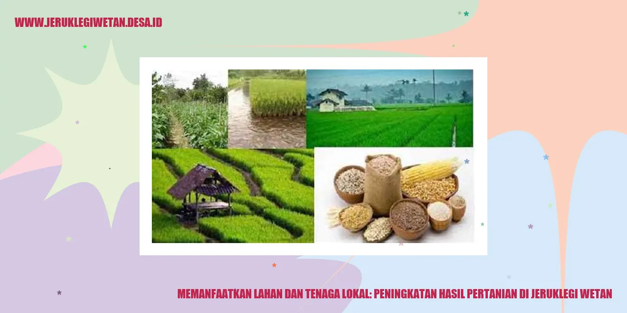 Memanfaatkan Lahan dan Tenaga Lokal: Peningkatan Hasil Pertanian di Jeruklegi Wetan