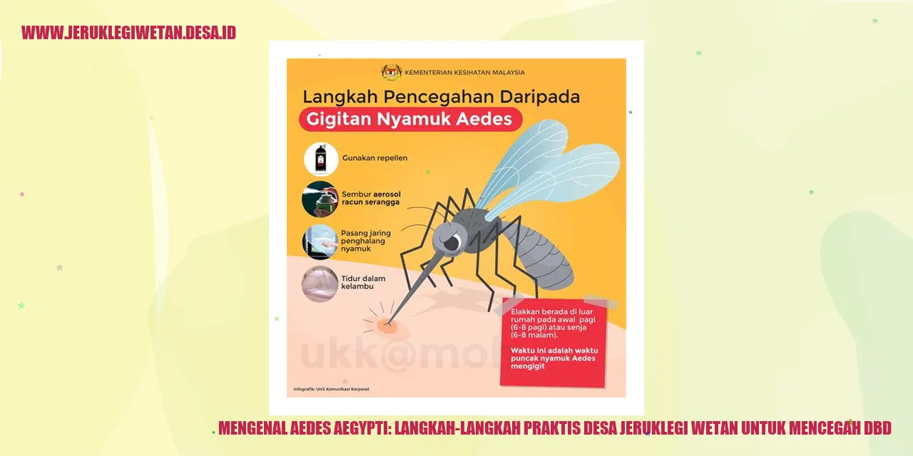 Aedes aegypti