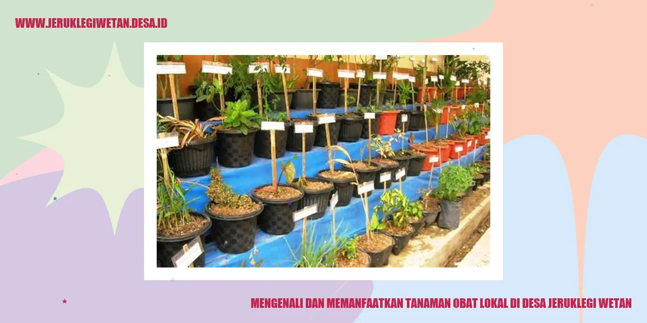 tanaman obat lokal