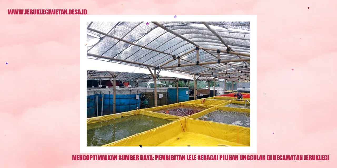 Pembibitan Lele