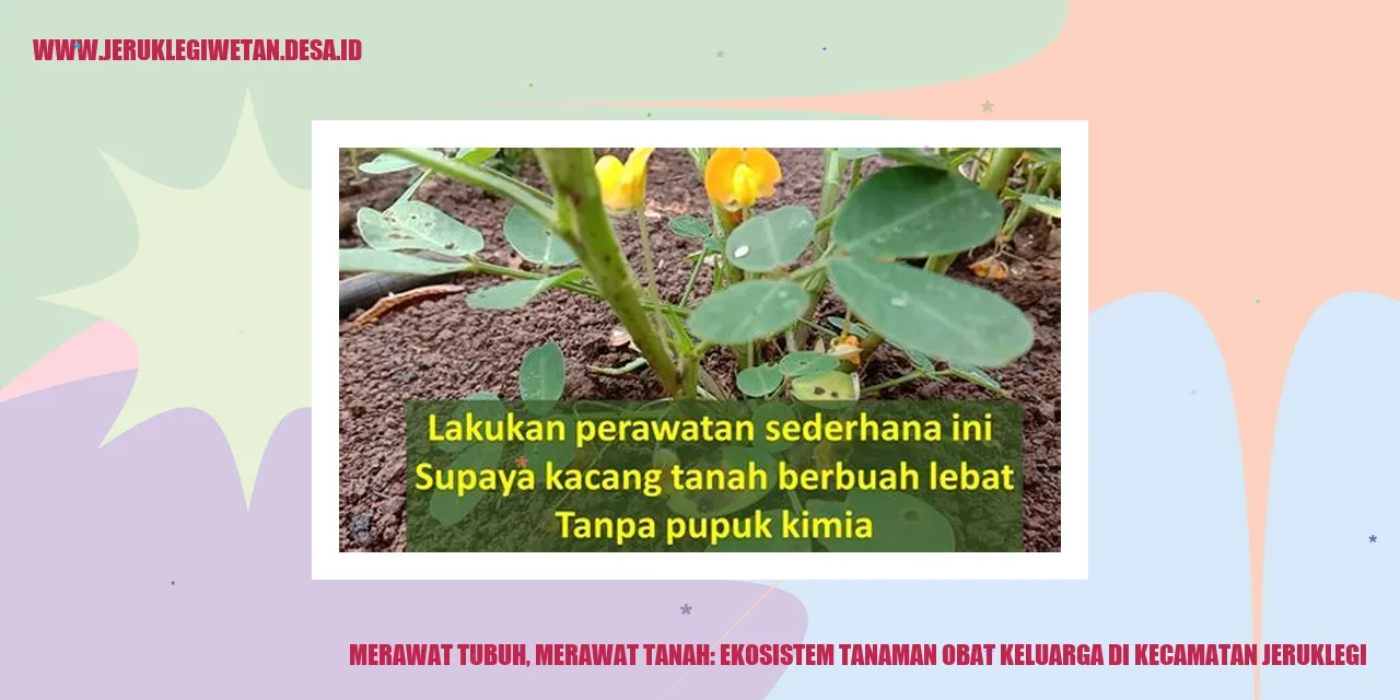 Gambar ekosistem tanaman obat keluarga di Kecamatan Jeruklegi