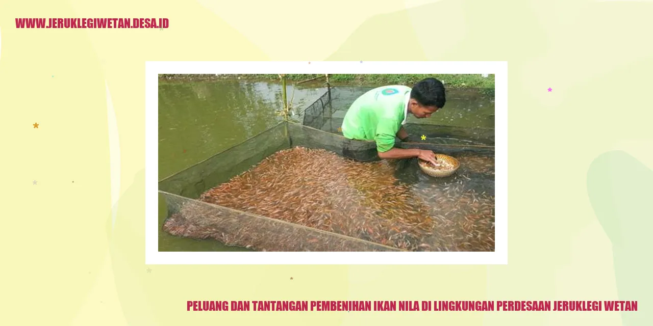 Pembenihan Ikan Nila di Lingkungan Perdesaan Jeruklegi Wetan