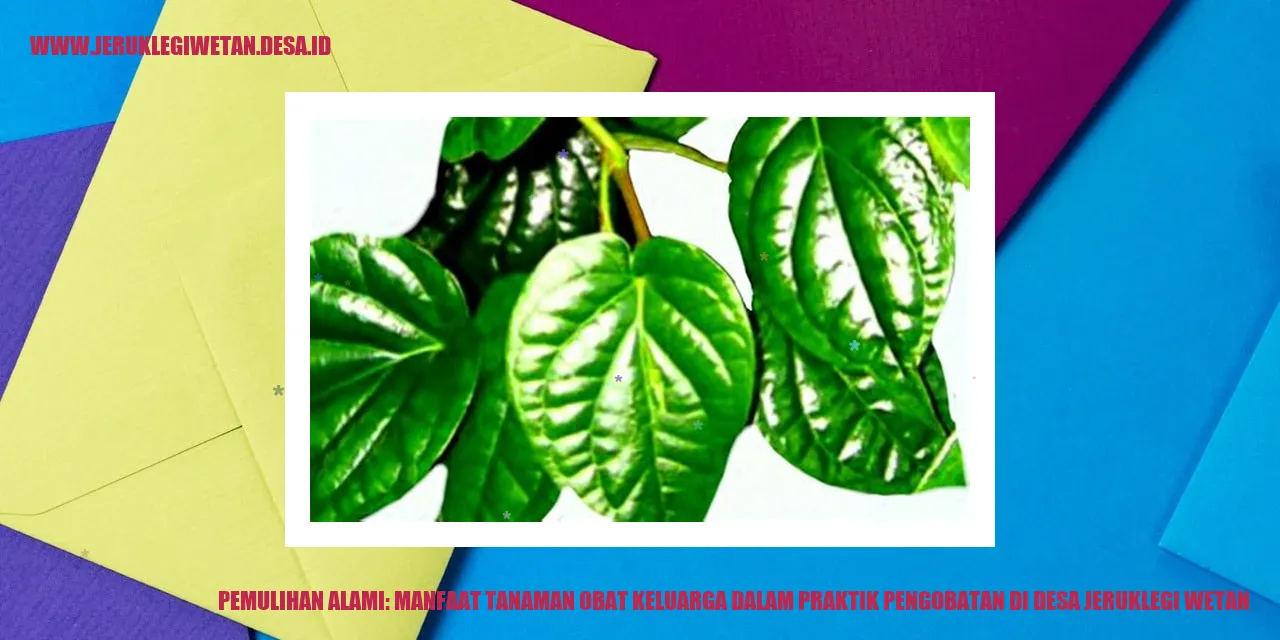Gambar Tanaman Obat Keluarga