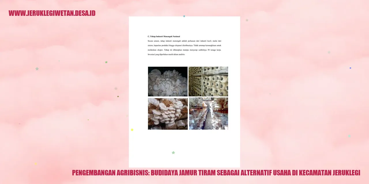 Budidaya Jamur Tiram