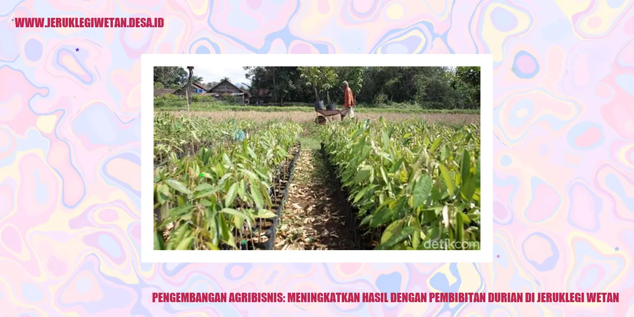 Pengembangan Agribisnis: Meningkatkan Hasil dengan Pembibitan Durian di Jeruklegi Wetan