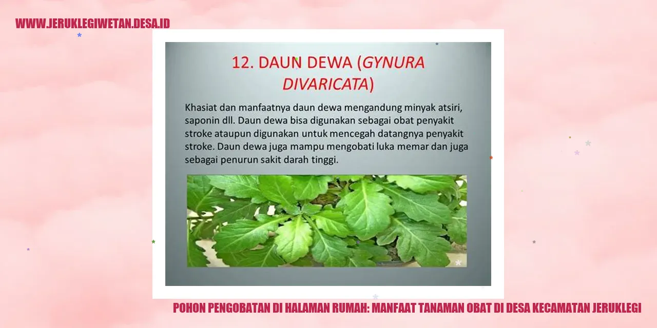 Pohon Pengobatan di Halaman Rumah: Manfaat Tanaman Obat di Desa Kecamatan Jeruklegi
