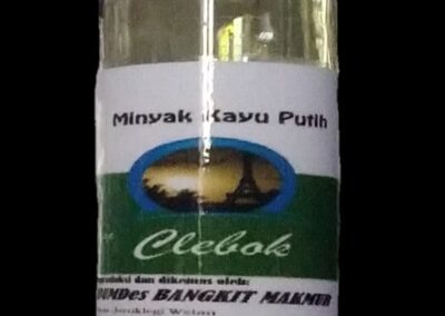 Memahami Minyak Kayu Putih: Sumber Keajaiban dari Alam
