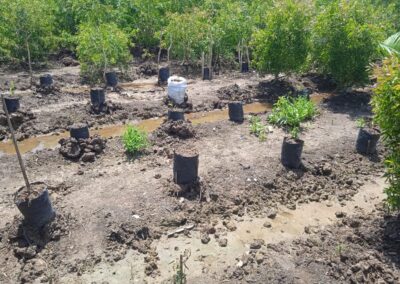 Pemberdayaan Petani Lokal: Mendorong Pertumbuhan Ekonomi dan Kesejahteraan Desa